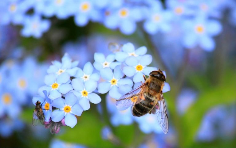 Blog